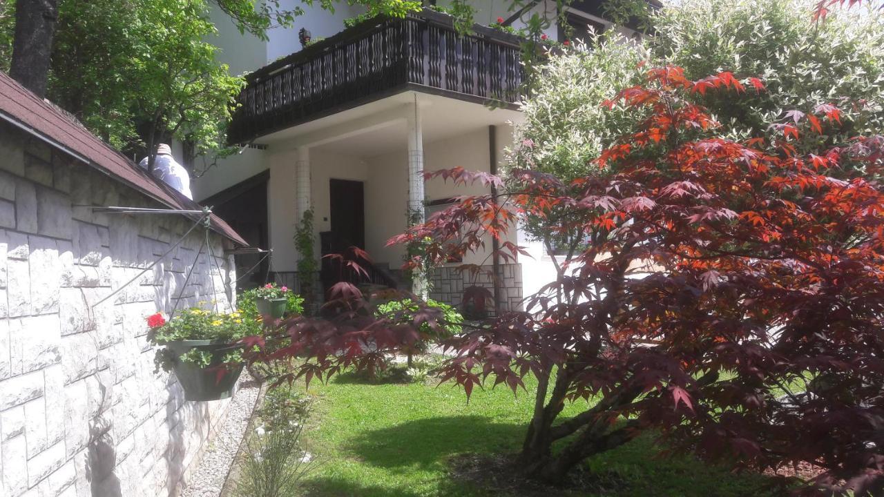 בוהינסקה בלה Kirhouse Apartment מראה חיצוני תמונה